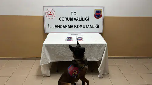 Jandarmanın Nefes Kesen Takibi Şaşırtan Bir Sonla Bitti