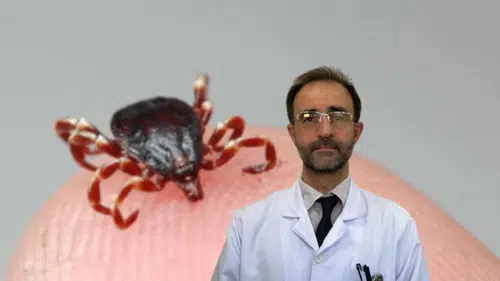 Uzmanlardan Kene Uyarısı