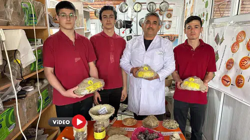 Çeltik Kabuklarından Tazelik Mucizesi Çıktı