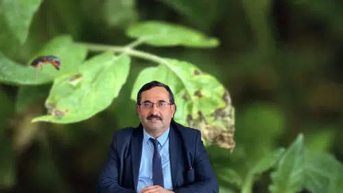 Aşırı Yağışlar Sonrası Çiftçileri Uyardı