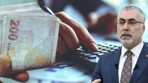 Bakan Işıkhan'dan anneleri sevindirecek müjde