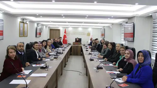 Kadına Yönelik Şiddetle Mücadele İçin 5 Yıllık Eylem Planı