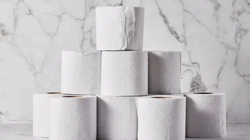 Türkiye'nin dev tuvalet kağıdı şirketleri satılıyor
