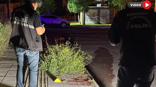 Sokak Ortasında Kanlı Hesaplaşma