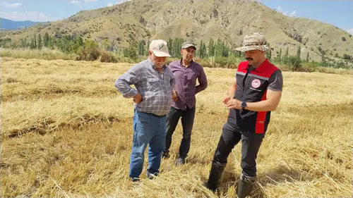 Bereketli Hasat İçin Sahada Adım Adım Kontrol