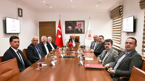 Sokak Hayvanları İçin Ortak Bilinç Vurgusu