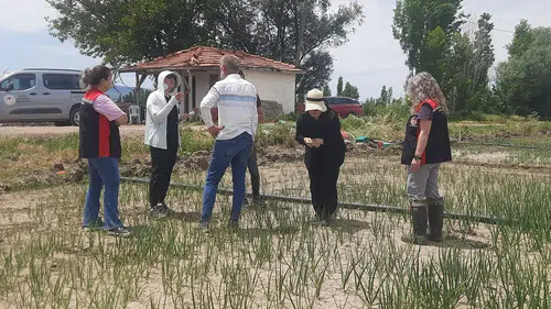 Beyaz Çürüklük Hastalığı İçin Saha Mesaisi