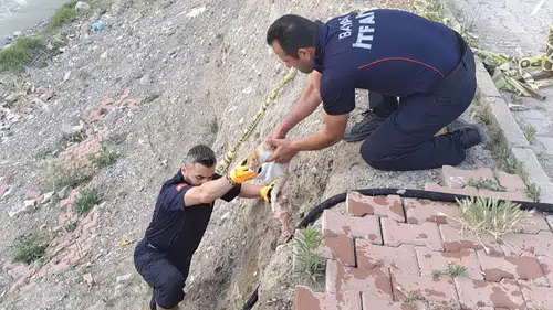 Çaya Düşen Kediyi İtfaiye Kurtardı
