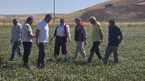 Çiftçinin Yeni Gelir Kapısında Verim Mesaisi