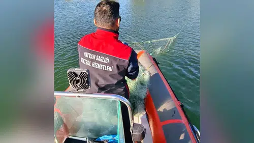 Çorum Barajı'nda Kaçak Avcılığa Geçit Yok