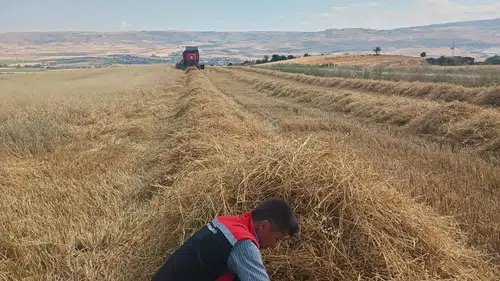 Dane Kaybına Geçit Verilmiyor