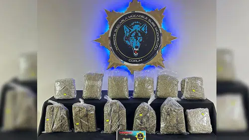9,5 Kilogram Sentetik Uyuşturucu Ele Geçirildi