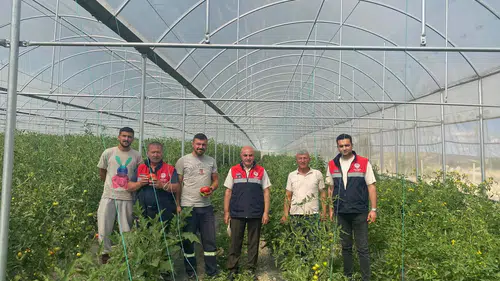 Seralarda Kapsamlı Denetim