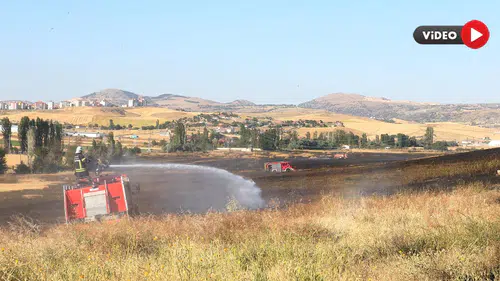 250 Dekarlık Arazi Küle Döndü