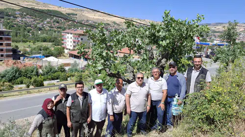 Bayat’ta Kırsal Kalkınma Hamlesi