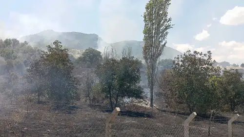 Oğuzlar’da Yangınları Artık Yapay Zeka Tespit Ediyor