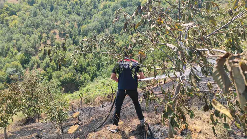 Ceviz Bahçesinde Yangın Çıktı