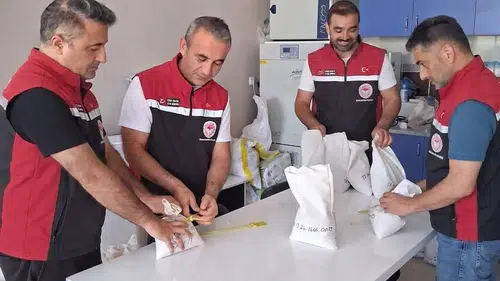 Çorum Çiftçisi İçin 25 Bin Ton Sertifikalı Tohum Hazırlanıyor