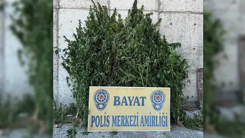 Çorum Polisinden Zehir Tacirlerine Geçit Yok