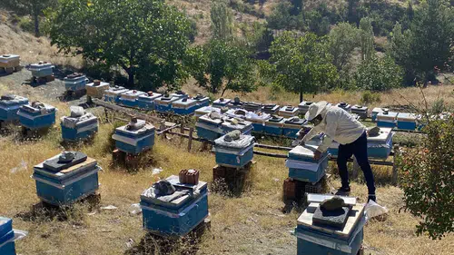 Arıcılık Destekleme Kontrolleri Sürüyor