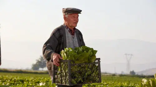 Çiftçileri İlgilendiren Gelişme!