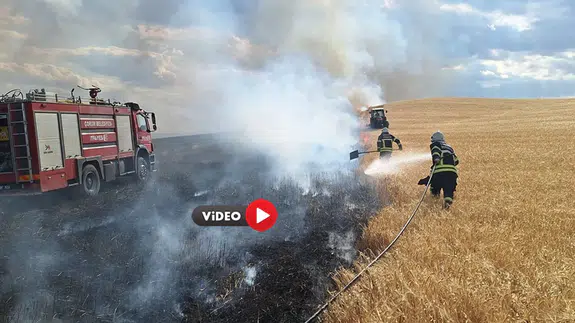 120 Dekar Buğday Tarlası Küle Döndü