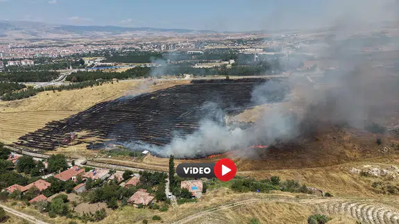 40 Dönüm Alan Zarar Gördü