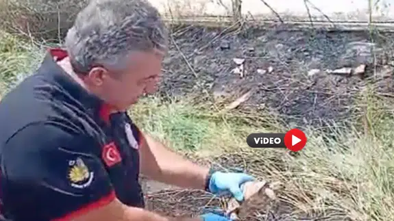 Yangında Kalan Kaplumbağayı Böyle Serinlettiler