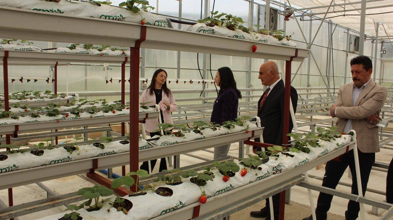 Kaymakam Yıldırım, Tıbbi Aromatik Bitki Serasını İnceledi