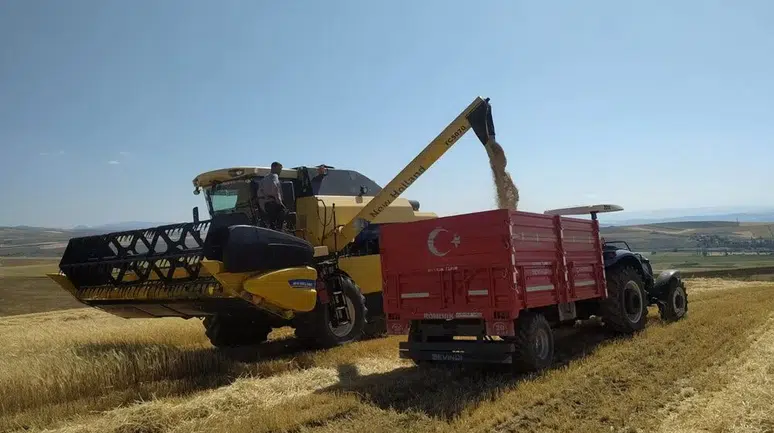 Arpa Hasadına Başlandı