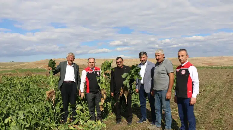 Hasat ve Depolamaya Yerinde İnceleme