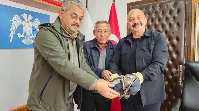 Yaralı Atmaca’ya Yardım Eli