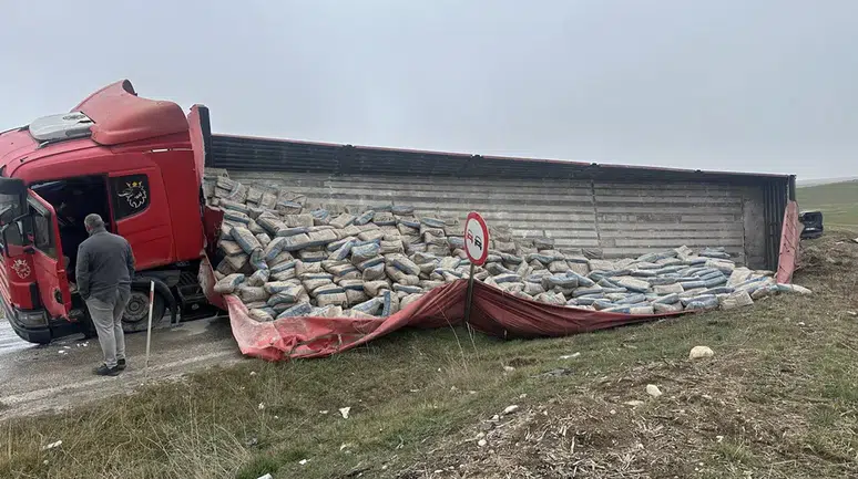 Tır Dorsesi Üzerlerine Devrildi!