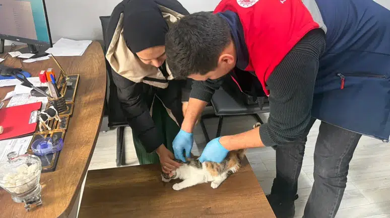 Hem Patiler Hem Gıda Takipte