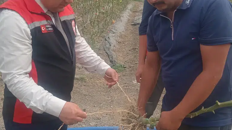 Çiftçilerin Seralarını Ziyaret Etti