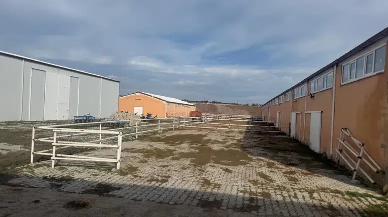 Dodurga’da Hayvancılık İşletmeleri Mercek Altında