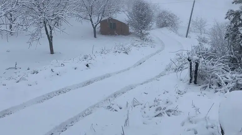 Ceviz Diyarında Kartpostallık Görüntüler