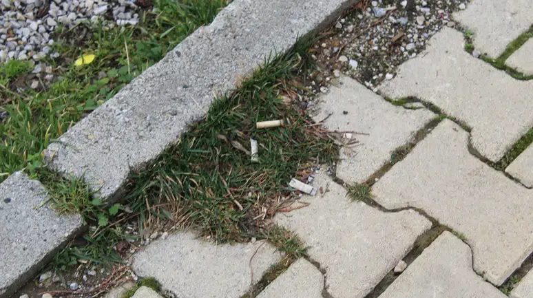 Şehir Genelinde Sigara İzmariti Kirliliği