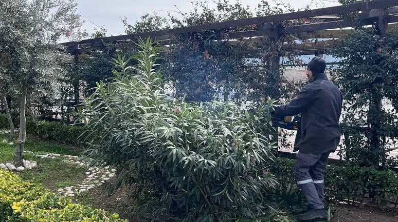 Yeşil Alan Ve Parklarda Bakım Çalışmaları Sürüyor