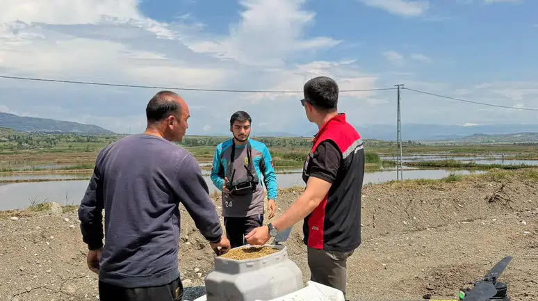 Laçin’de Çeltik Ekimi Yapıldı