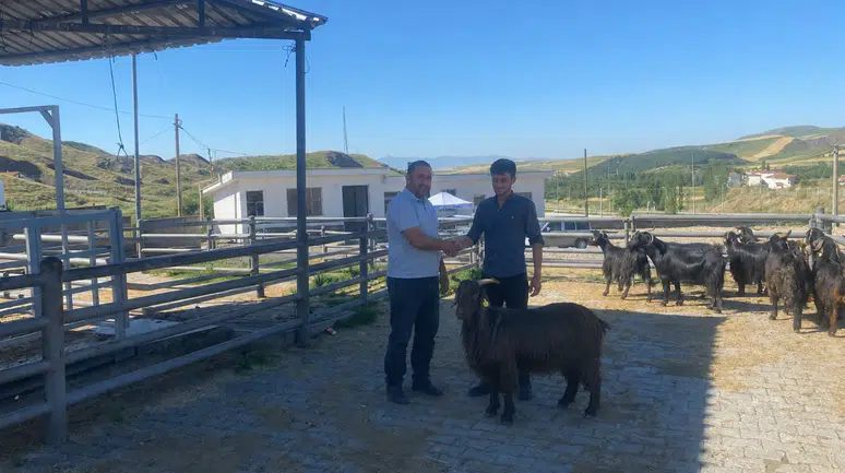 İskilip’te Hayvan Pazarı Her Salı Açılıyor