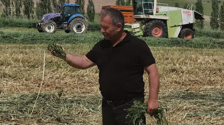 Kaba Yem Üretim Sahaları İncelendi
