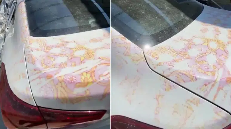 Araç Sahipleri Yazın Sakın Bu Hatayı Yapmayın!