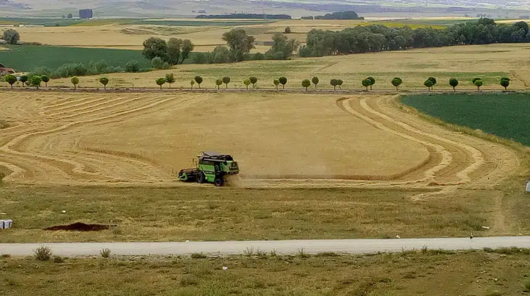 Üreticinin Emeğini Korumak İçin Kontroller