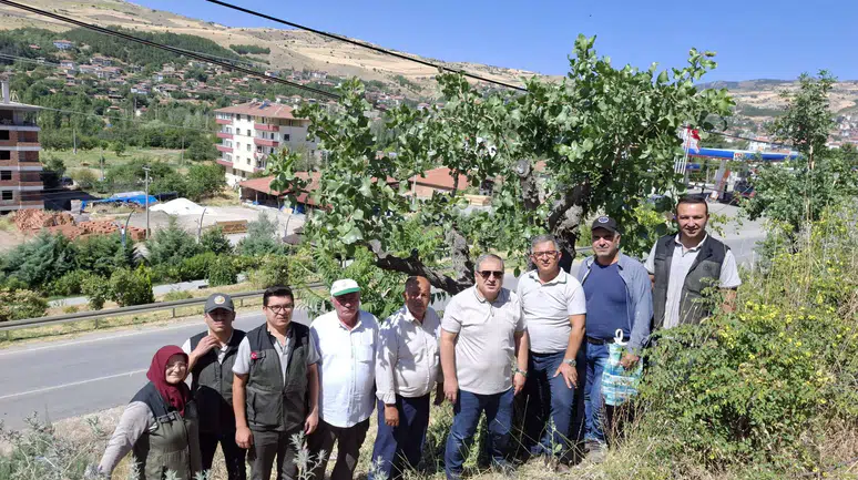 Bayat’ta Kırsal Kalkınma Hamlesi