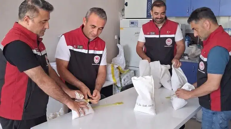 Çorum Çiftçisi İçin 25 Bin Ton Sertifikalı Tohum Hazırlanıyor