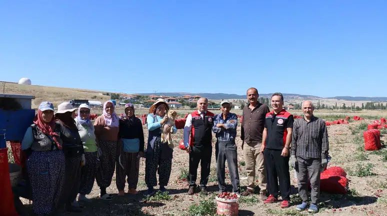 Karapürçek’te Soğan Üretimi Tarlada İncelendi