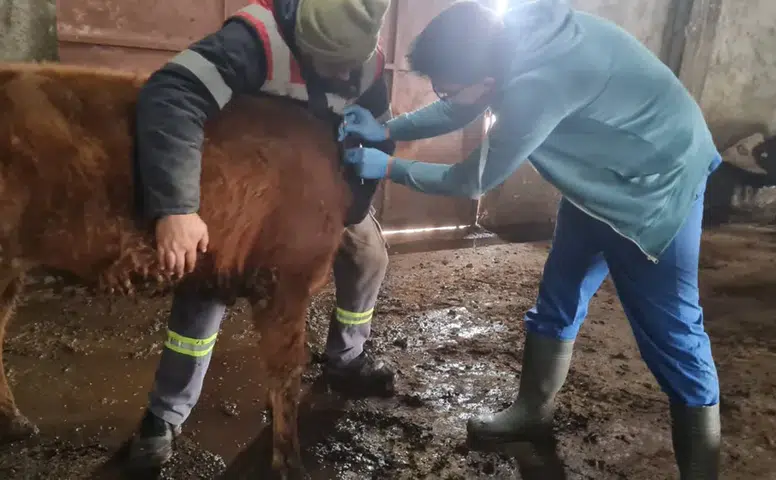 Kargı’da Tüberküloz Teyakkuzu