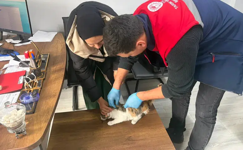 Hem Patiler Hem Gıda Takipte