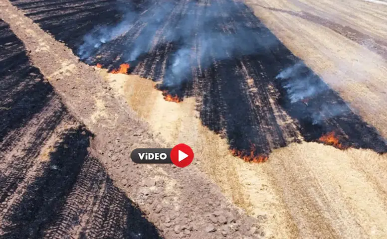 Anız Yangını 70 Dönüm Araziyi Küle Çevirdi